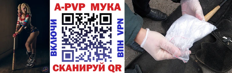 Купить  Гуково  A PVP крисы CK 